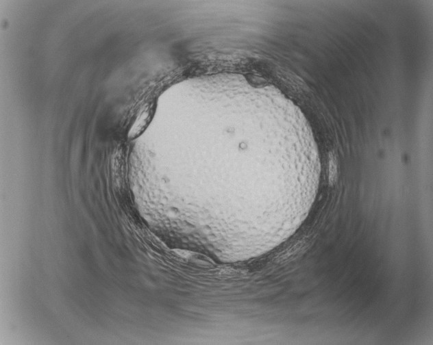 X0000053011059200507291702