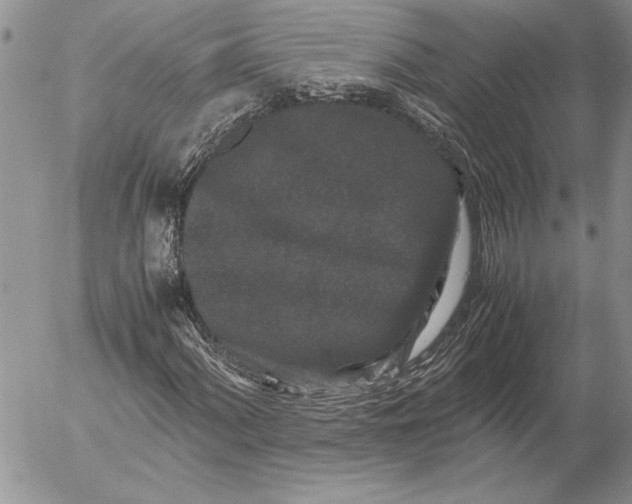 X0000053011060200507291702