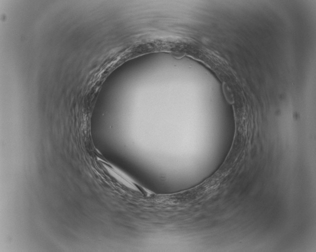 X0000053011061200507291702