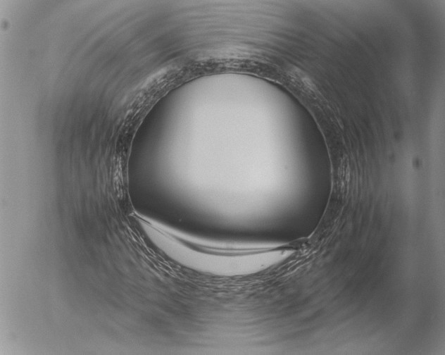 X0000053011062200507291702