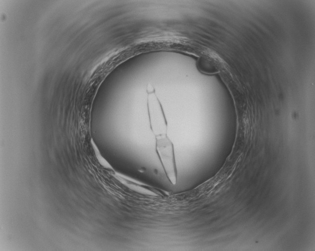 X0000053011064200507291702