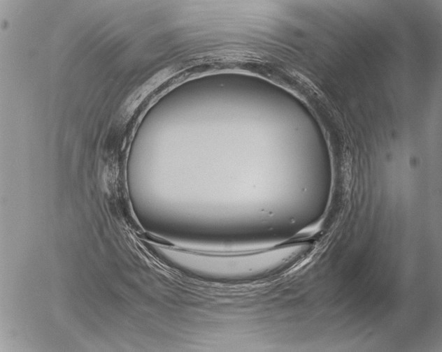 X0000053011065200507291702