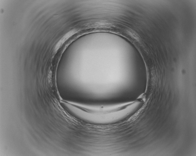 X0000053011066200507291702