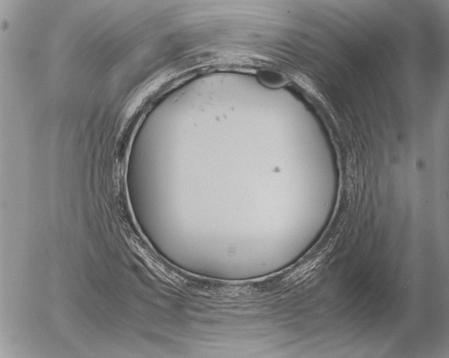 X0000053011067200507291702