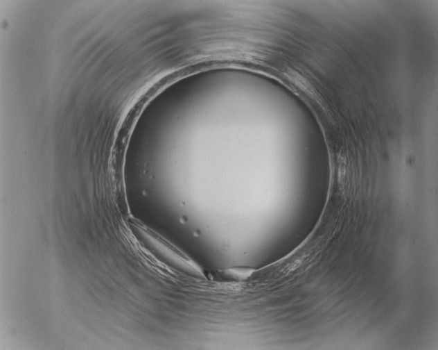 X0000053011068200507291702