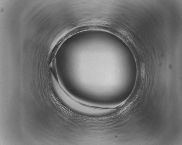 X0000053011069200507291702