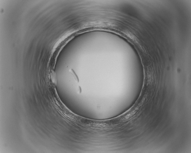 X0000053011070200507291702