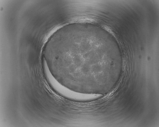 X0000053011071200507291702