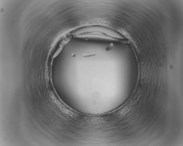 X0000053011072200507291702