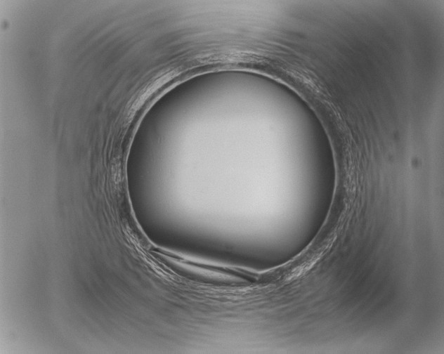 X0000053011073200507291702