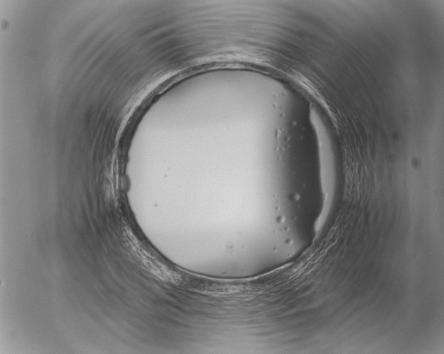 X0000053011076200507291702