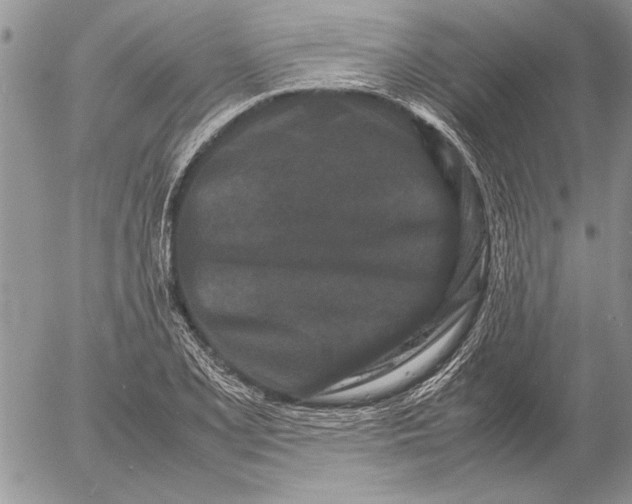 X0000053011077200507291702