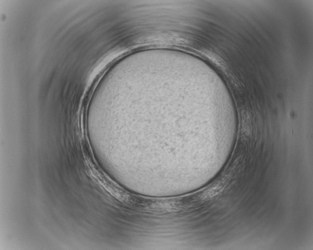 X0000053011078200507291702