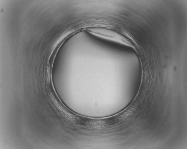 X0000053011079200507291702