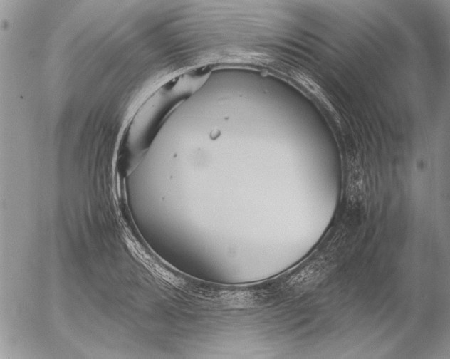 X0000053011080200507291702