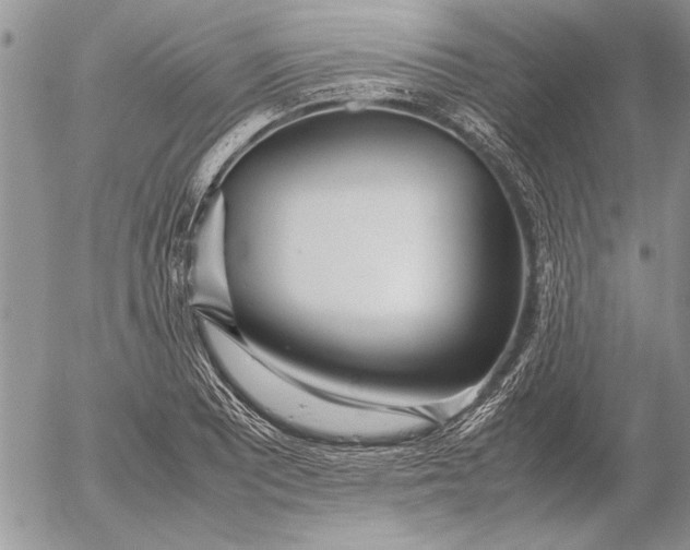 X0000053011081200507291702