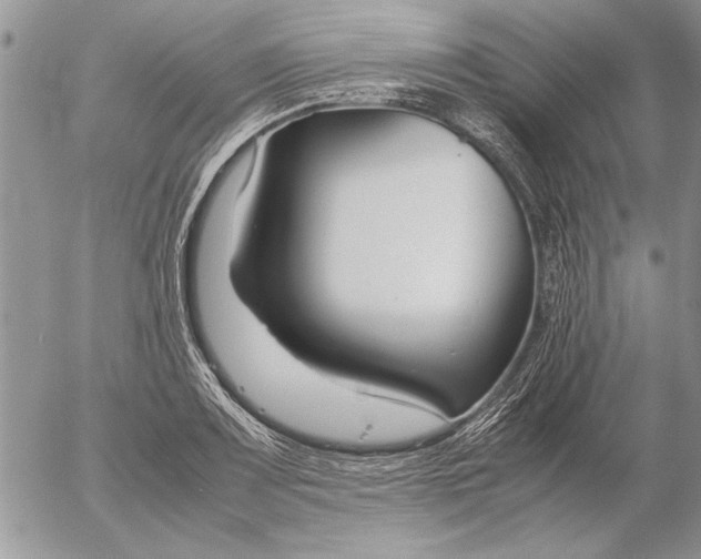 X0000053011083200507291702