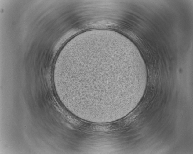 X0000053011086200507291702