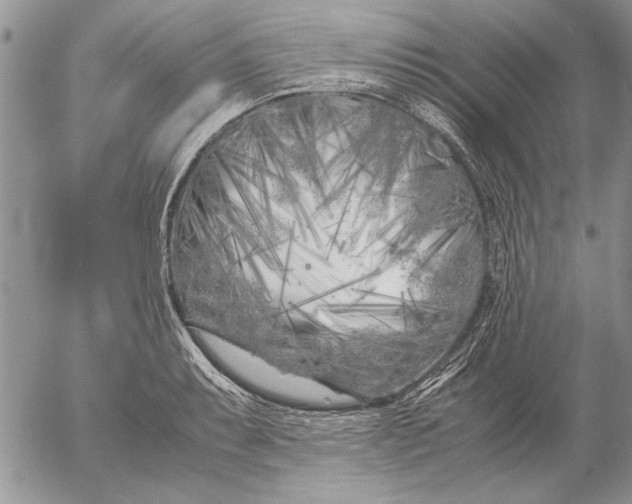 X0000053011087200507291701