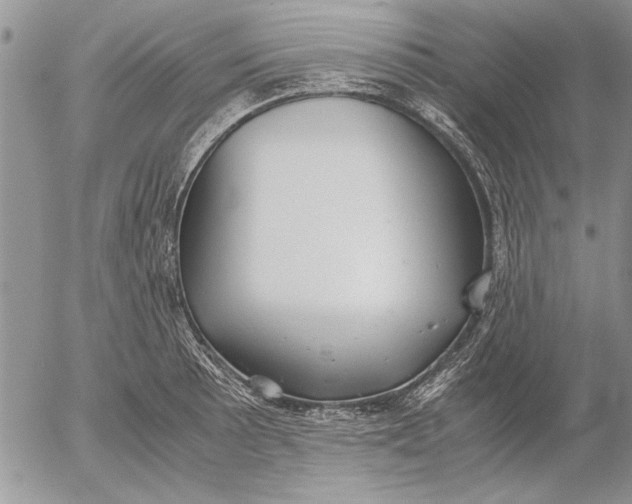 X0000053011089200507291701