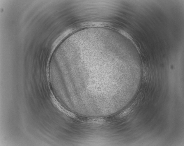 X0000053011090200507291701