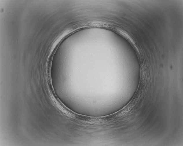 X0000053011091200507291701