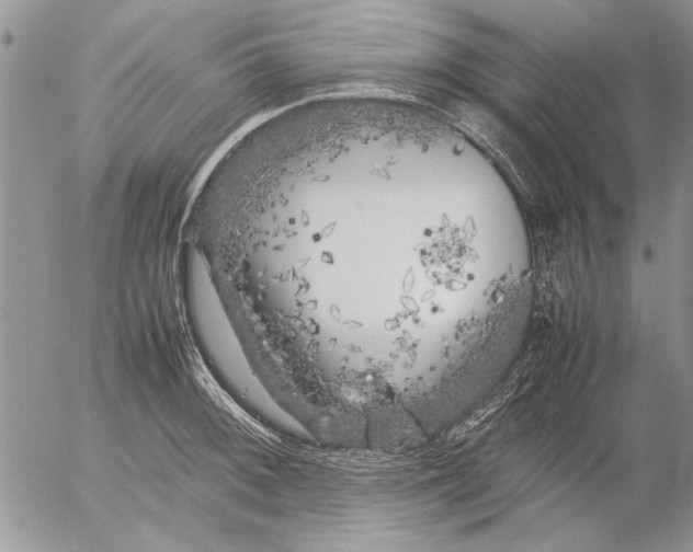 X0000053011092200507291701