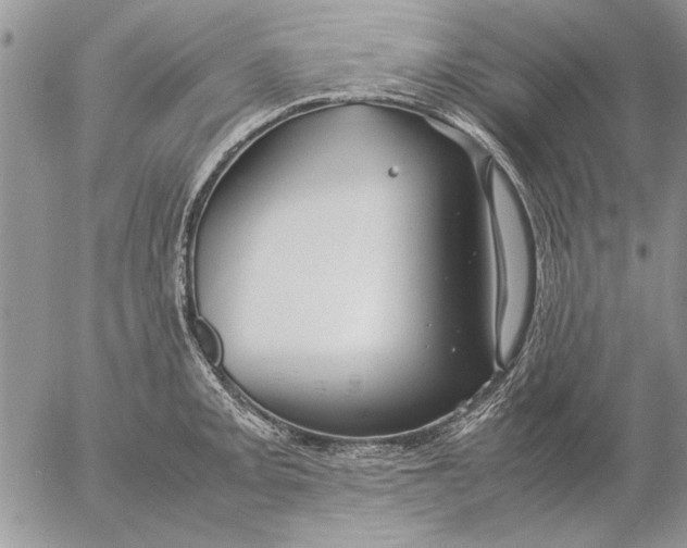 X0000053011093200507291701