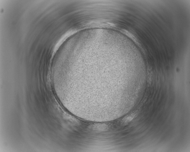 X0000053011094200507291701