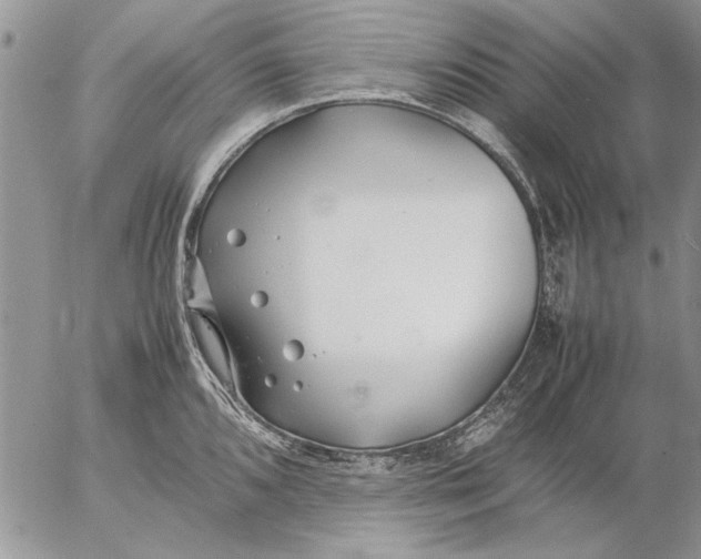 X0000053011096200507291701