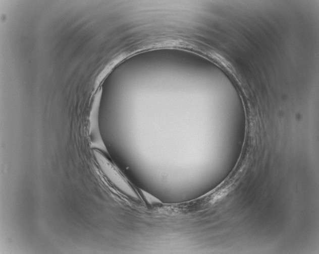 X0000053011097200507291701