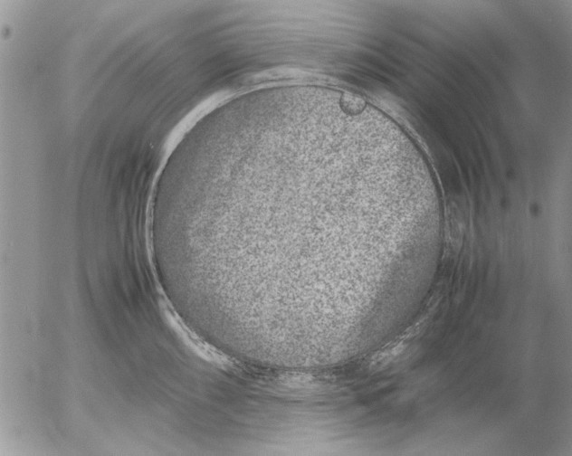 X0000053011098200507291701