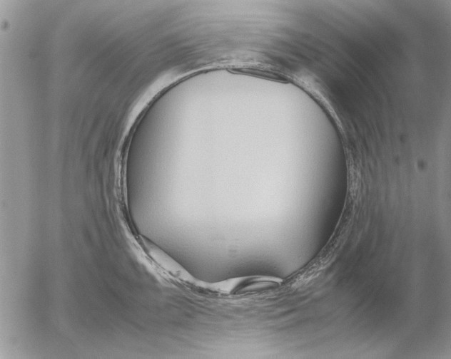 X0000053011099200507291701