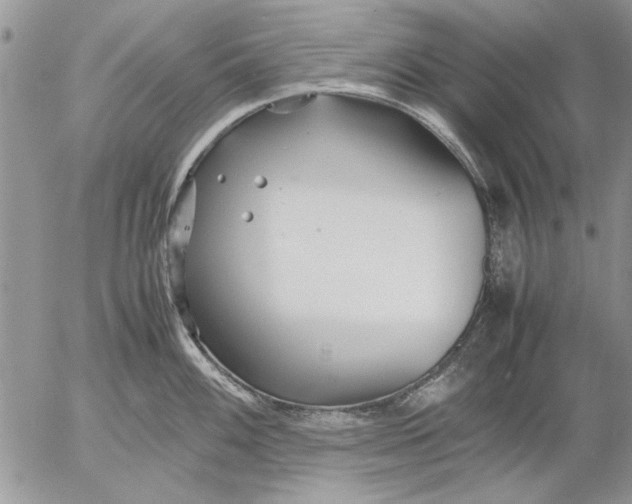 X0000053011100200507291701