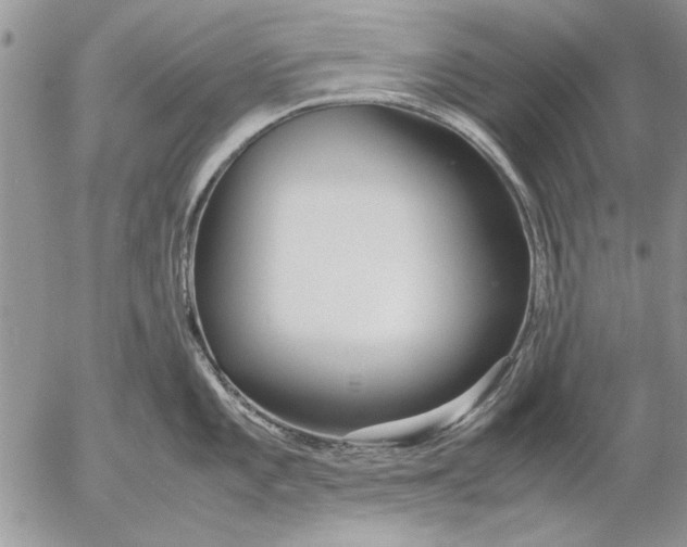 X0000053011101200507291701