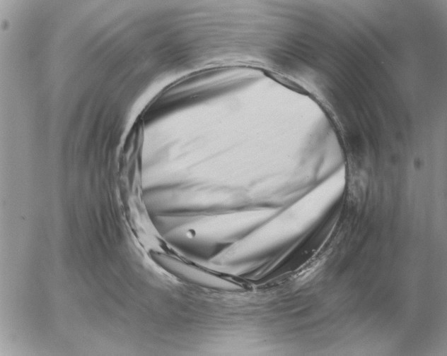 X0000053011102200507291701