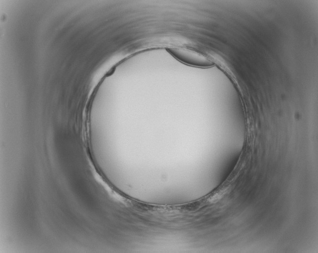 X0000053011103200507291701