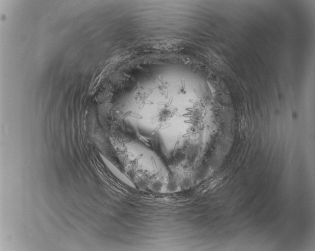 X0000053011106200507291700