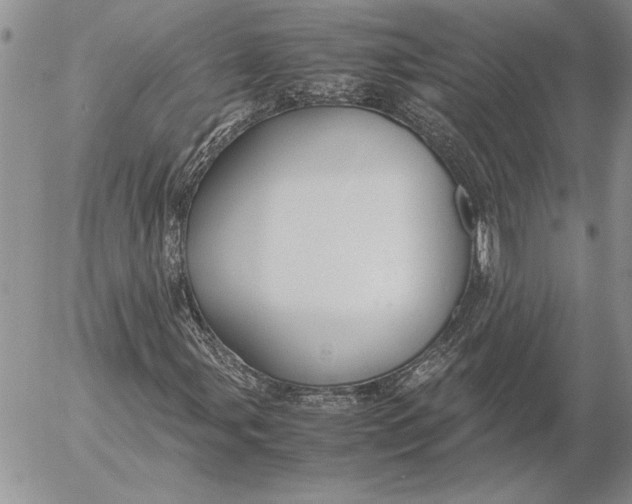 X0000053011107200507291700