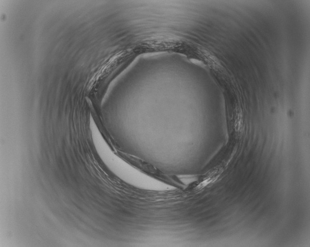 X0000053011108200507291700