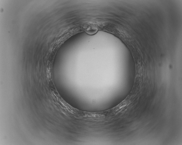 X0000053011109200507291700