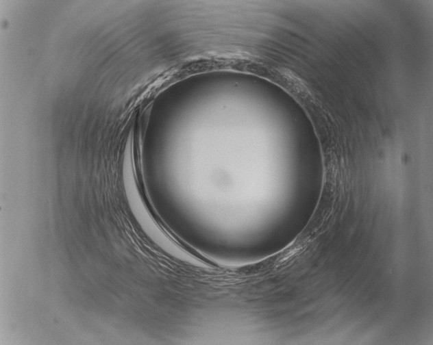 X0000053011110200507291701