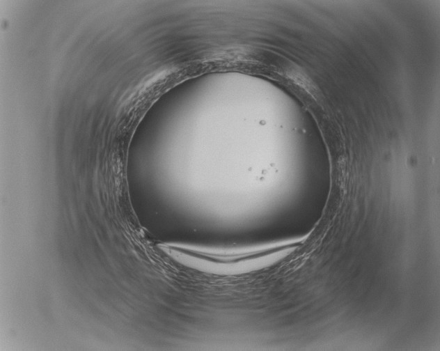 X0000053011111200507291701