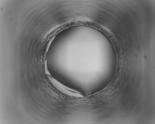 X0000053011112200507291701