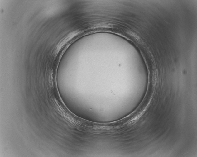 X0000053011113200507291701