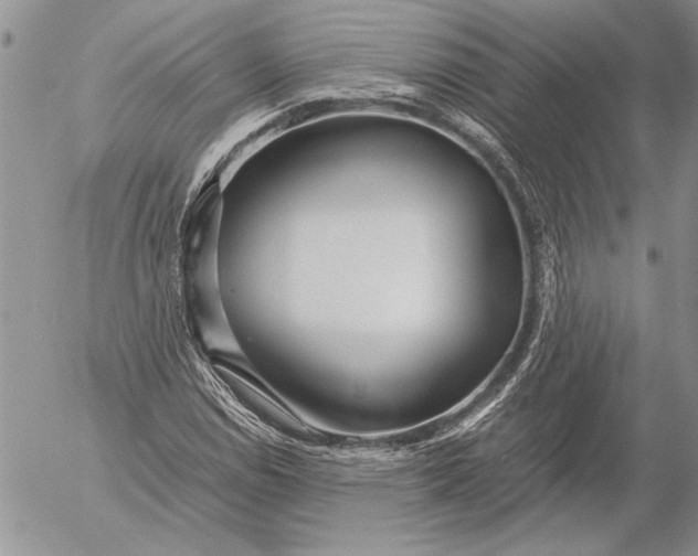 X0000053011114200507291701