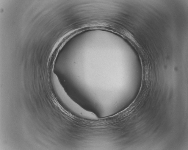 X0000053011116200507291701