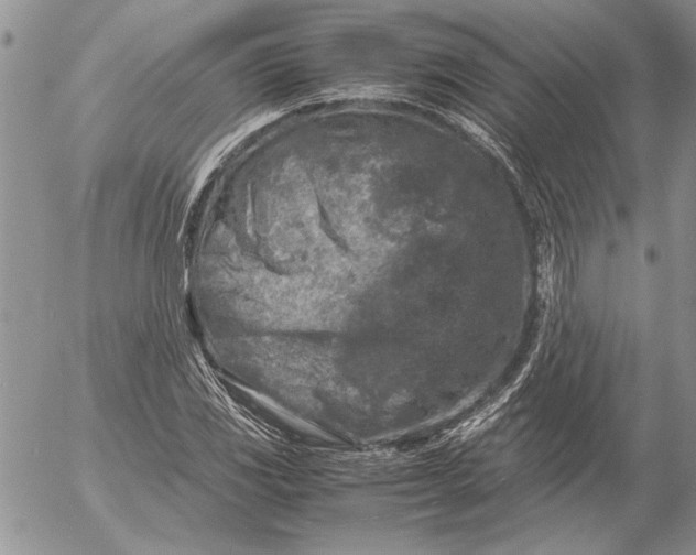 X0000053011117200507291701