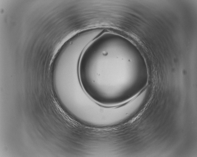 X0000053011118200507291701