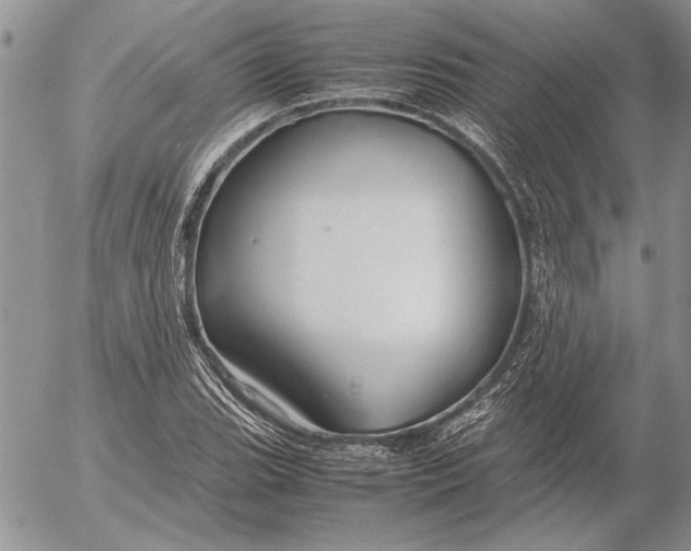 X0000053011119200507291701